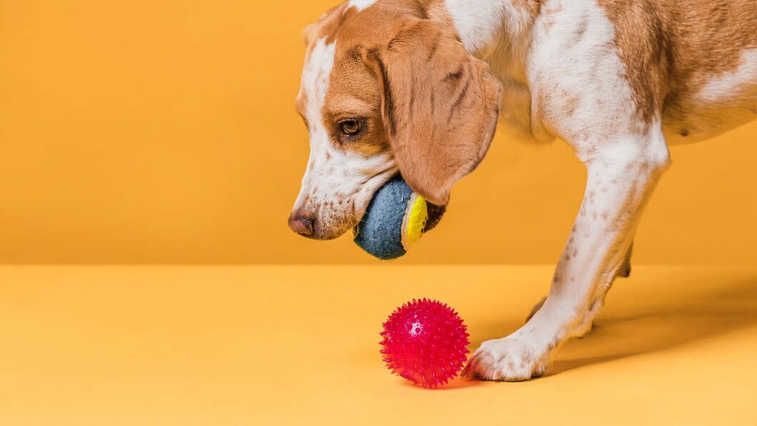 Jak wybrać odpowiednią zabawkę dla twojego pupila: przewodnik dla właścicieli psów