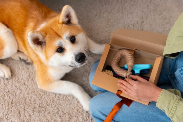 Jak przygotować psa do życia w nowym domu