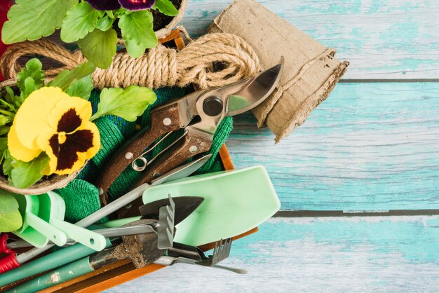 Jak wybrać odpowiednie narzędzia ogrodnicze do różnych pór roku?