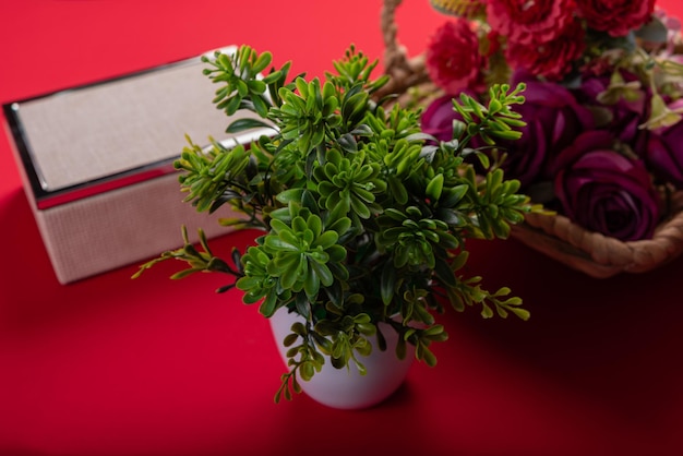 Stwórz magiczny zakątek: Kwiaty, które ożywią Twój ogród